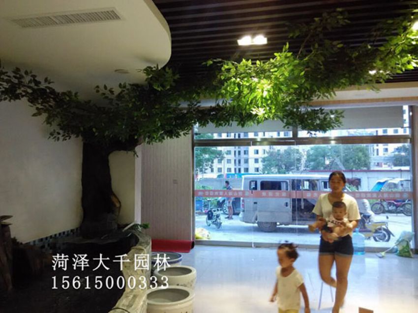 點(diǎn)擊查看詳細(xì)信息<br>標(biāo)題：假樹(shù) 閱讀次數(shù)：1284