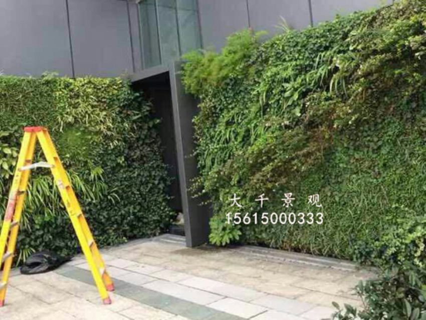 點擊查看詳細信息<br>標題：綠植墻 閱讀次數(shù)：1317