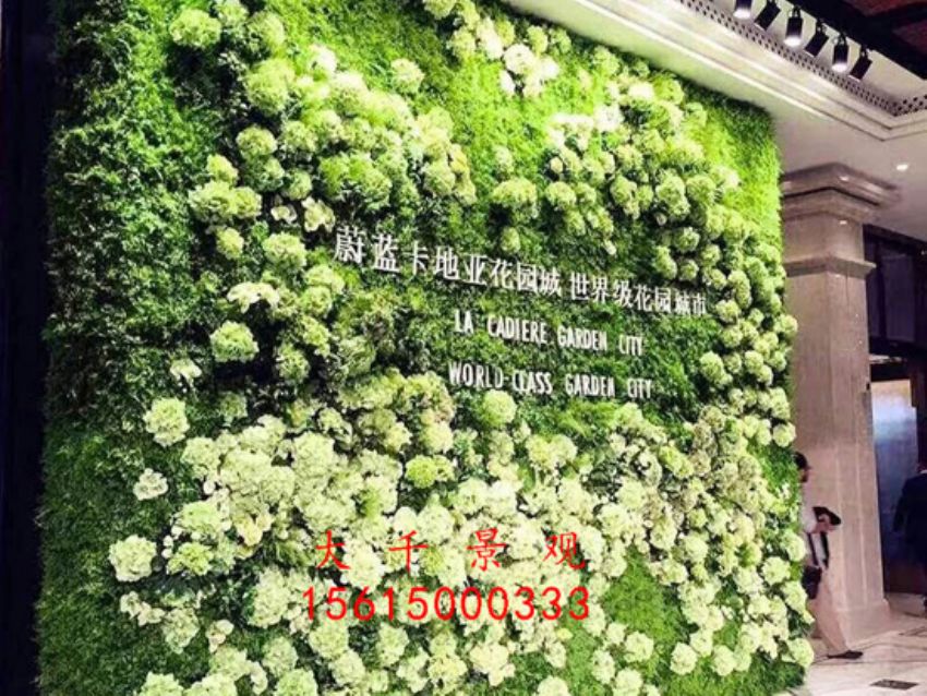 點(diǎn)擊查看詳細(xì)信息<br>標(biāo)題：綠植墻 閱讀次數(shù)：1803