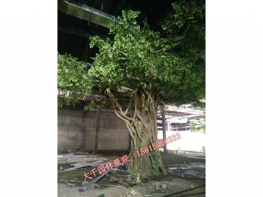點(diǎn)擊查看詳細(xì)信息<br>標(biāo)題：假樹(shù) 閱讀次數(shù)：2089